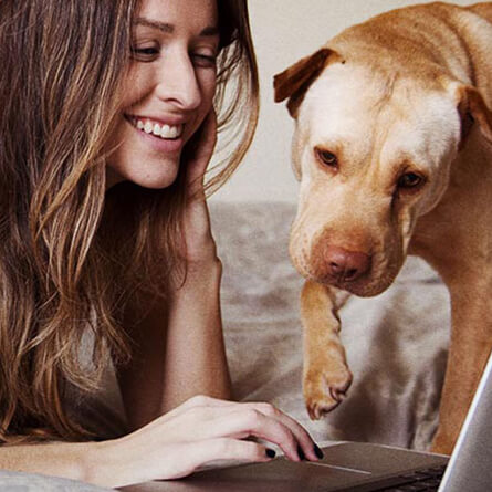 naine ja koer vaatavad arvutit