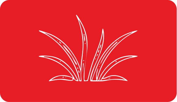 Mererohuniidud