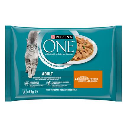 PURINA ONE® ADULT, minifileed kastmes kana ja roheliste ubadega, kiisueine