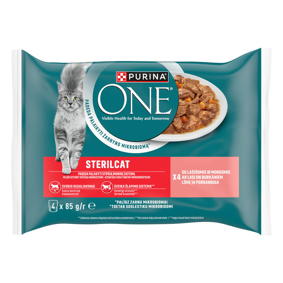 PURINA ONE® STERILCAT, minifileed kastmes lõhe ja porgandiga, kiisueine
