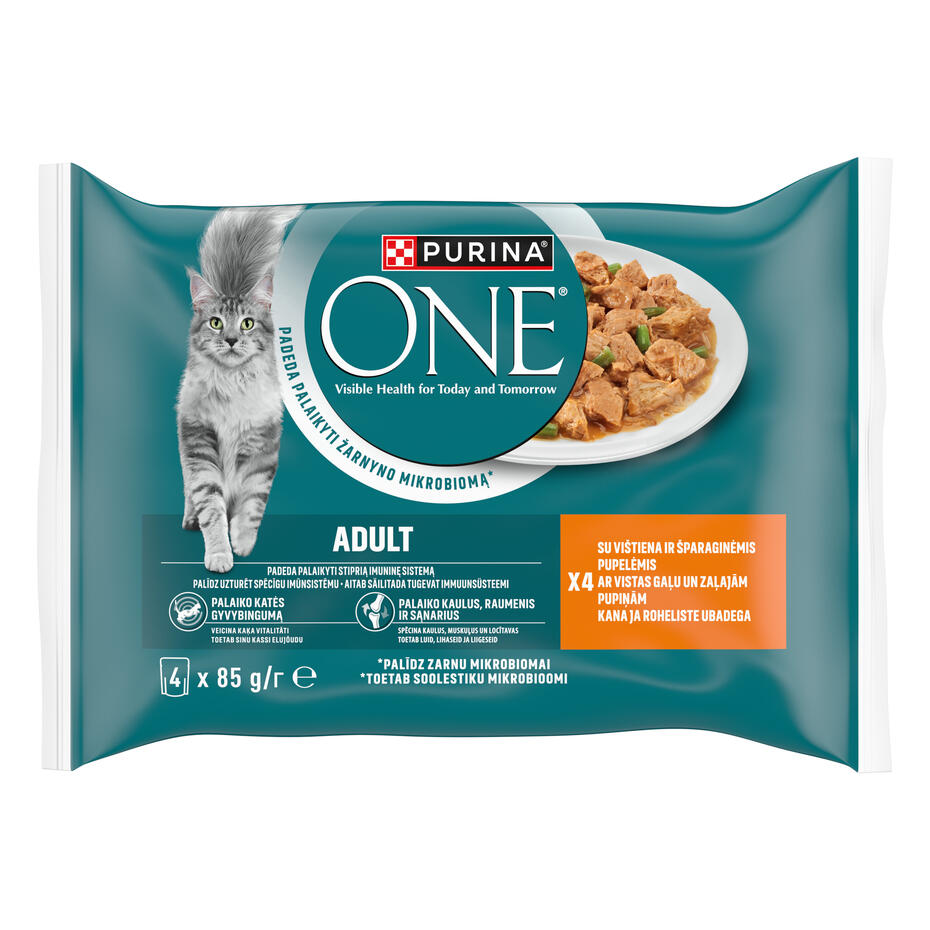 PURINA ONE® ADULT, minifileed kastmes kana ja roheliste ubadega, kiisueine