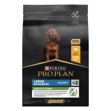 Large Puppy Athletic rohke kanaga