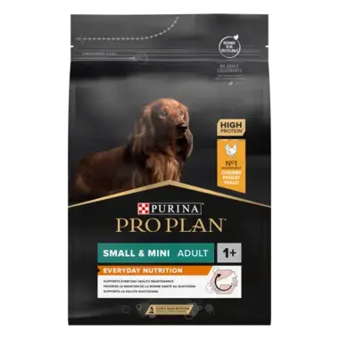 Small & Mini Adult Dog rohke kanaga
