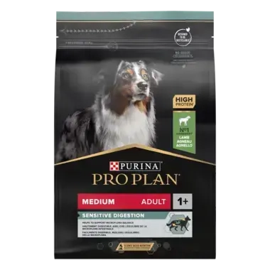 Medium Adult Dog Sensitive Digestion rohke lambaga