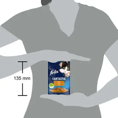 FELIX® FANTASTIC kanaga tarrendis, kiisueine