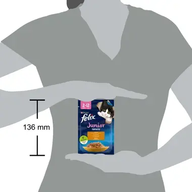 FELIX® FANTASTIC JUNIOR kanaga tarrendis, kiisueine