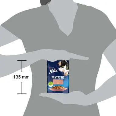 FELIX® FANTASTIC lõhega tarrendis, kiisueine