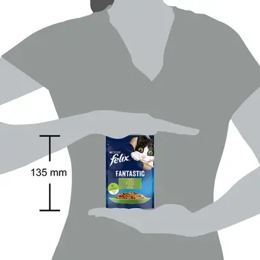 FELIX® FANTASTIC küülikuga tarrendis, kiisueine