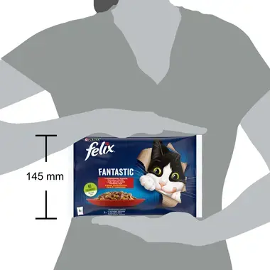 FELIX® FANTASTIC Maakodu valik tarrendis (veis, kana), kiisueine