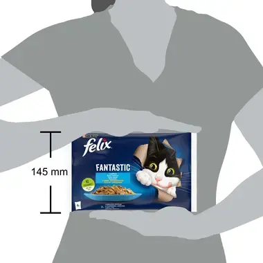 FELIX® FANTASTIC Kalavalik tarrendis (lõhe, lest), kiisueine