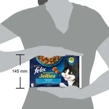 FELIX® SENSATIONS Kalavalik tarrendis (lõhe, saida), kiisueine