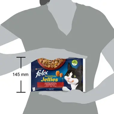 FELIX® SENSATIONS Maakodu valik tarrendis (veis, kana), kiisueine
