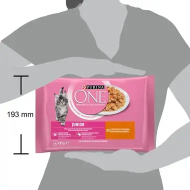 PURINA ONE® JUNIOR Minifileed kiisueine kastmes kanaga 4x85g