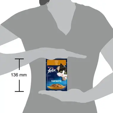 FELIX FANTASTIC täissööt täiskasvanud kassidele kanaga tarrendis 85g