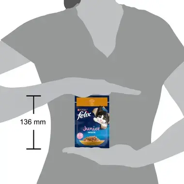 FELIX FANTASTIC JUNIOR täissööt kassipoegadele kanaga tarrendis 85g