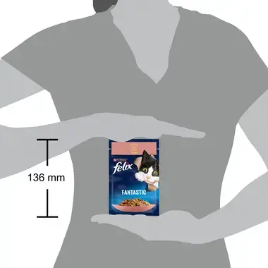 FELIX FANTASTIC täissööt täiskasvanud kassidele lõhega tarrendis 85g