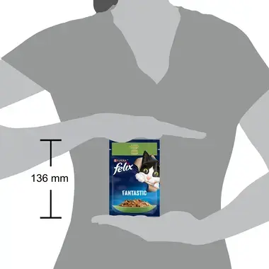 FELIX FANTASTIC täissööt täiskasvanud kassidele küülikuga tarrendis 85g