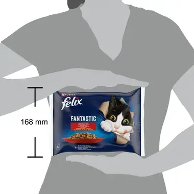 FELIX FANTASTIC täissööt täiskasvanud kassidele maakodu valik tarrendis 4x85g