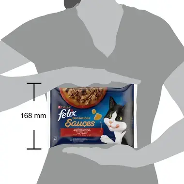 FELIX SENSATIONS täissööt täiskasvanud kassidele Maakodu valik kastmes 4x85g