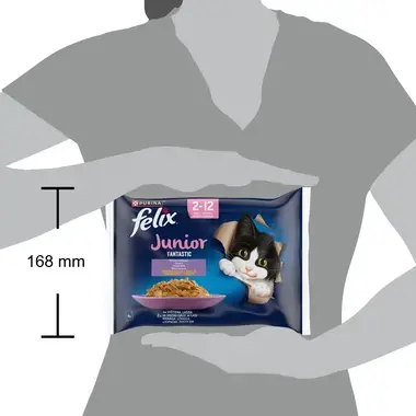 FELIX FANTASTIC JUNIOR täissööt kassipoegadele kana ja lõhega tarrendis 4x85g