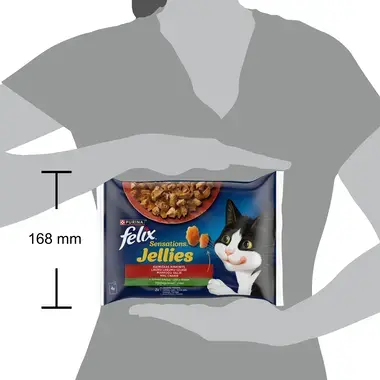 FELIX SENSATIONS täissööt täiskasvanud kassidele maakodu valik tarrendis 4x85g