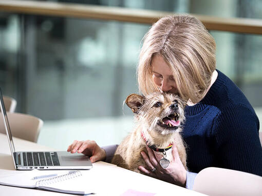 Naine ja koer sülearvuti juures