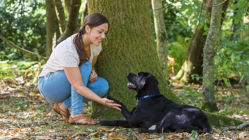 Naine kükitas koos koeraga puu lähedal