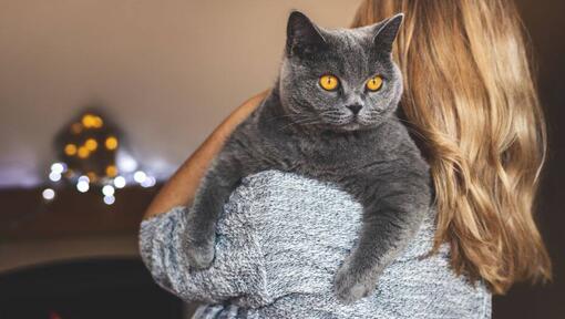 Naine hoiab käes oma lemmiklooma – Briti lühikarvalist kassi