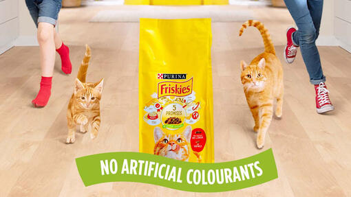 Friskies Kass