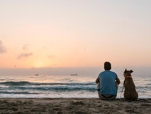 Mees ja koer vaatavad päikeseloojangut