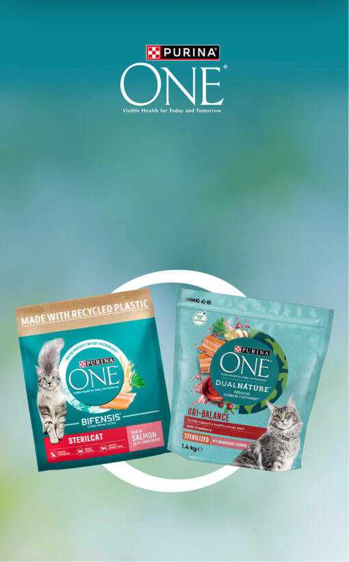 Purina ONE® DualNature™ Campaign