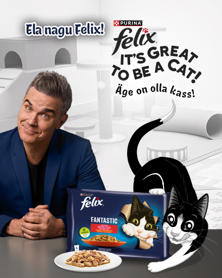 Robbie Williams ja Felix ümbritsetuna Felixi kassitoitude valikust