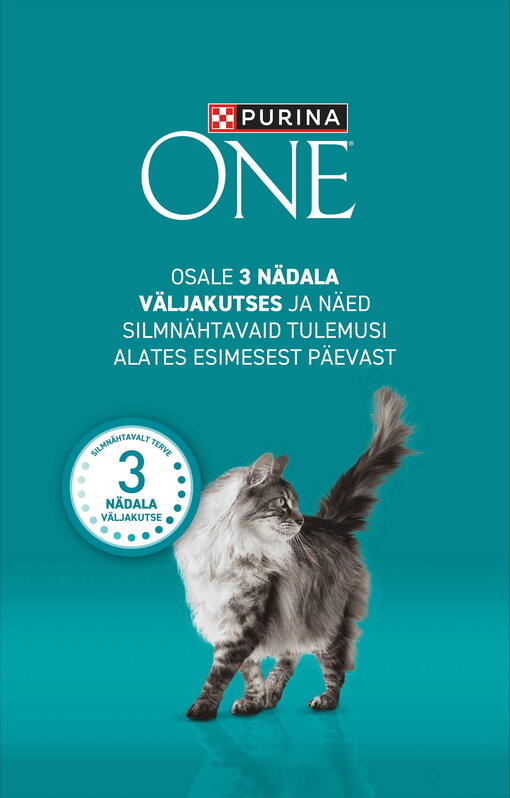 Purina One kass