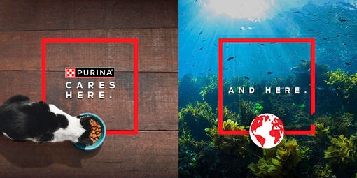 PURINA EUROOPA OOKEANIDE TAASTAMISE PROGRAMM