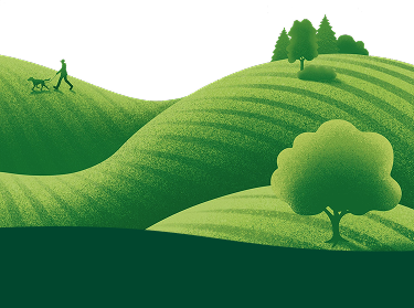 Taastava põllumajanduse