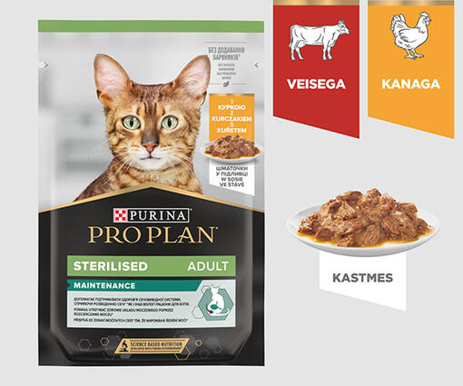 Maintenance märgtoit