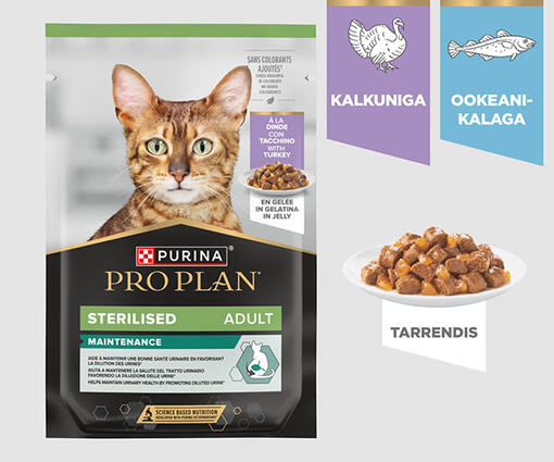 Maintenance märgtoit