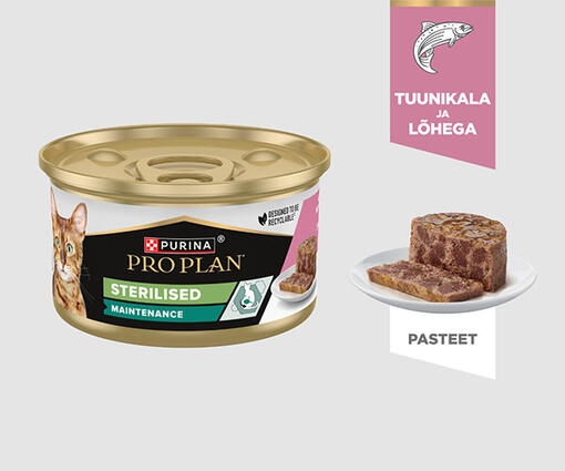 Maintenance märgtoit