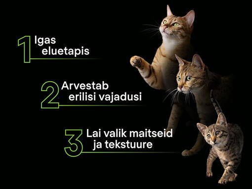 Tagab sinu steriliseeritud kassile kõik toitumisvajadused