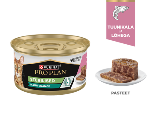 Maintenance märgtoit