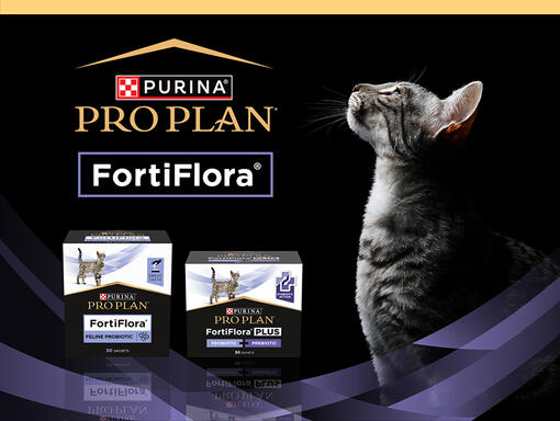 PRO PLAN FortiFlora
