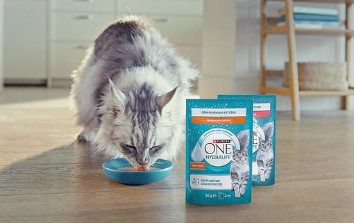 Purina ONE® HYDRALIFE™