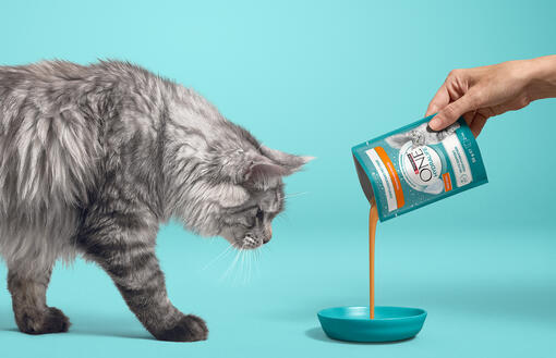 Purina ONE® HYDRALIFE™