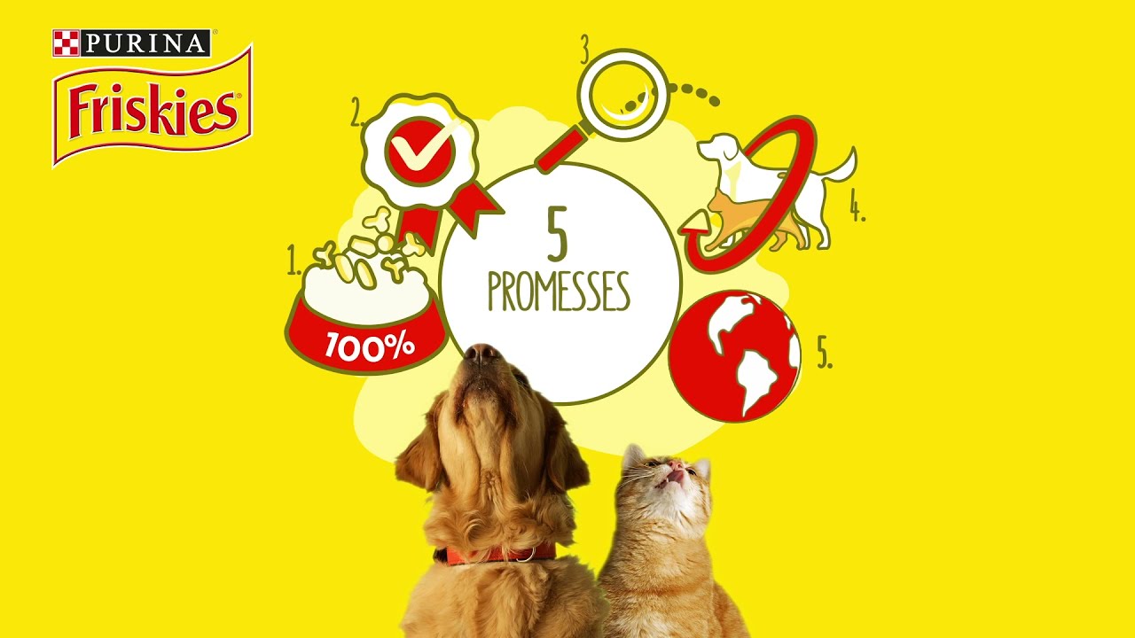 5 promesses Friskies®